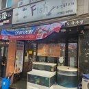 더피쉬 이미지