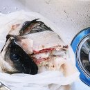 신포항수산 중도매인 21번 | 대전 유성 노은동수산시장, 2024도매가 확인하고 신선한 활어 포장하려면 이곳이 제격입니다