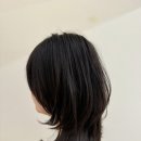 헤어셋틀러 이미지