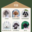 리디아 동물병원 이미지