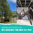 호암 | 용인 호암미술관 예약 입장권 호암카페 후기 및 루이즈부르주아 전시 관람후기