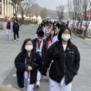 한국체대 청림태권도장 이미지