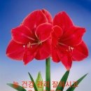 부광공인중개사사무소 이미지