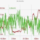 원조언양옛날곰탕 이미지