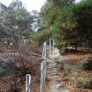 윤화자 Daum카페