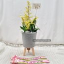 달성군구지면징리보건진료소 이미지