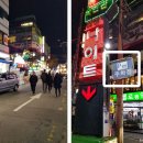 국빈관관광나이트 이미지