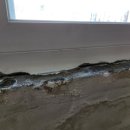 반월빌딩 이미지