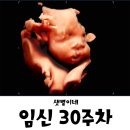 샛별유통 | 임신 30주차 한달만에 보는 샛별이, 만삭촬영