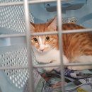 전동공영주차장 이미지