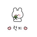 뽀송하개 이미지