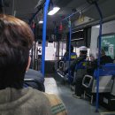 유성온천역(6번 출구) 버스정류장 | 운명에 맡기자