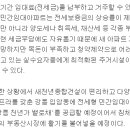 새천년건설 이미지