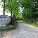 중앙레포츠 이미지