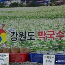 정찬길강원도막국수 이미지