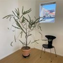 홈바운드스테이 이미지