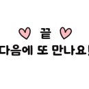 쌍둥이네 애견 이미지