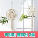 966 이미지