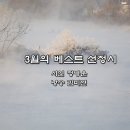 3월의 선정시_사랑입니다_정병운_낭송 김미현_편집 윤기영 이미지