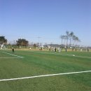 안강생활체육공원 축구장 Daum카페