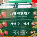 한상기 농장 이미지