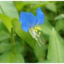 이일농장 이미지