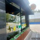 와가야카레 이미지