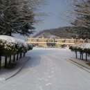 일직초등학교 이미지