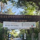 서귀포 바다가 보이는 조용한 카페 카노푸스 위치 씨에스호텔