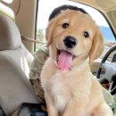 발편한동물병원 이미지