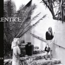 The Apprentice 이미지