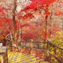 한국과학기술원 버스정류장 이미지