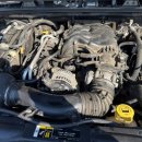 로고스카센타 이미지