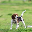 북성여성 이미지