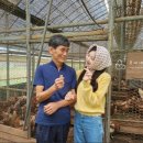 유나네 자연숲 농장 이미지