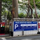 덕영빌딩 | [ 동성로 미용실 ] 헤어에스티미오 4호점 쿨톤 매트브라운 염색 후기