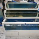 한라 회 수산 | 안성 방어회 맛집 한라회수산 방문기❗️