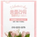 광주정품화환배달 이미지