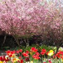 허브목장 이미지