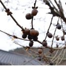 성동학교 이미지