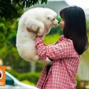 수겔러리카페펜션