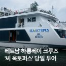 씨러브바다별장 | 대가족 하노이 여행 🚢 | 하롱베이 '씨 옥토퍼스' 당일 투어 [아이러브베트남] 솔직 후기 (내돈내산)