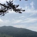 마켓적정온도
