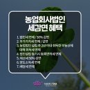 농업회사법인주식회사수월 네이버블로그