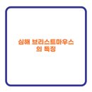 브리스트