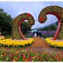 용대관광지 이미지