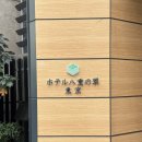 김가네김포호수 | 부모님 모시고 도쿄 여행 4박 5일 일정 모음(ft. 항공 숙소 후지산투어 시부야스카이만 예약하고 다녀온...
