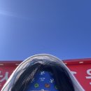 (주)위즈밀 | 수원 kt 위즈 파크 수원 vs 삼성 3루 외야 잔디석 직관 후기