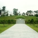 홍주의사총 이미지