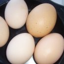 짐에이치핏 이미지